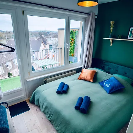 Le Perchoir-wifi-face A La Gare-terrasses-proche Tous Commerces 萨尔堡